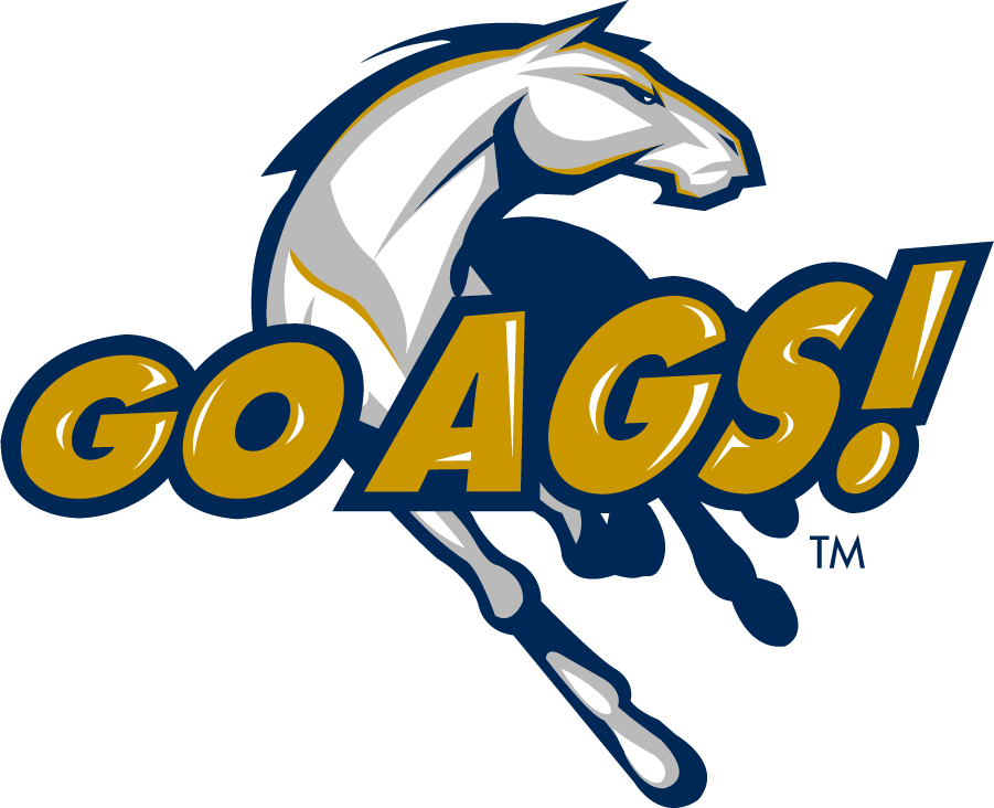 California Davis Aggies 2013-2019 Secondary Logo t shirts iron on transfers